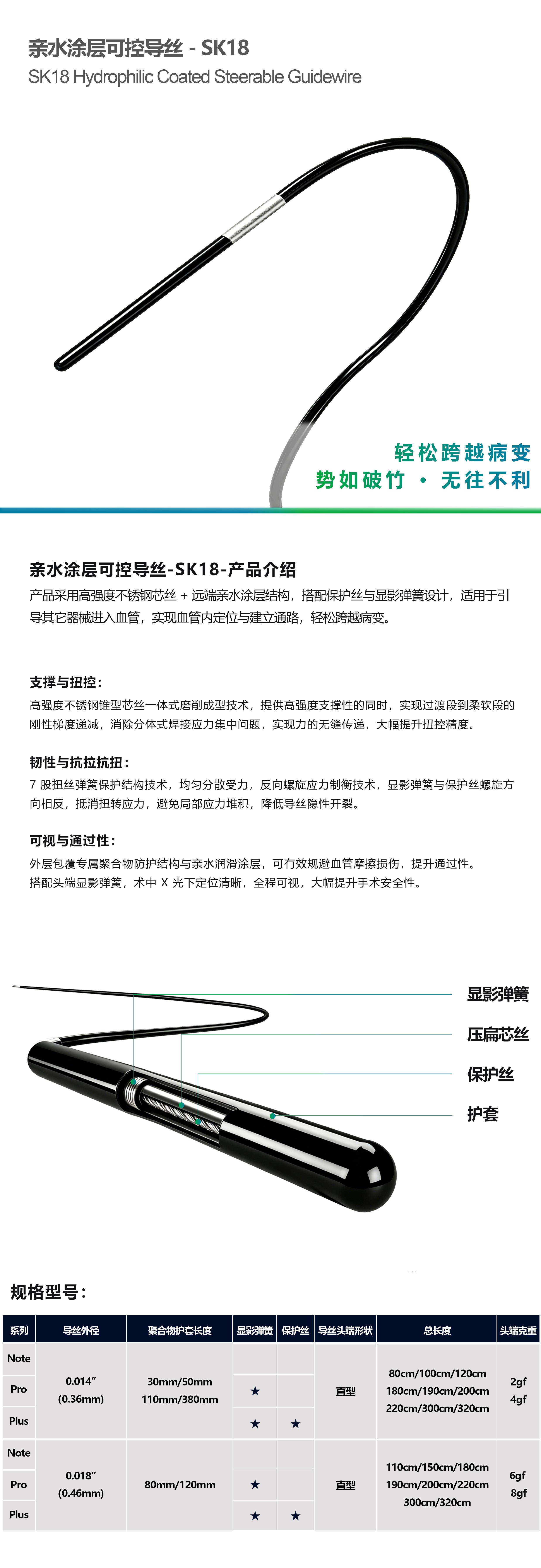 SK18.jpg